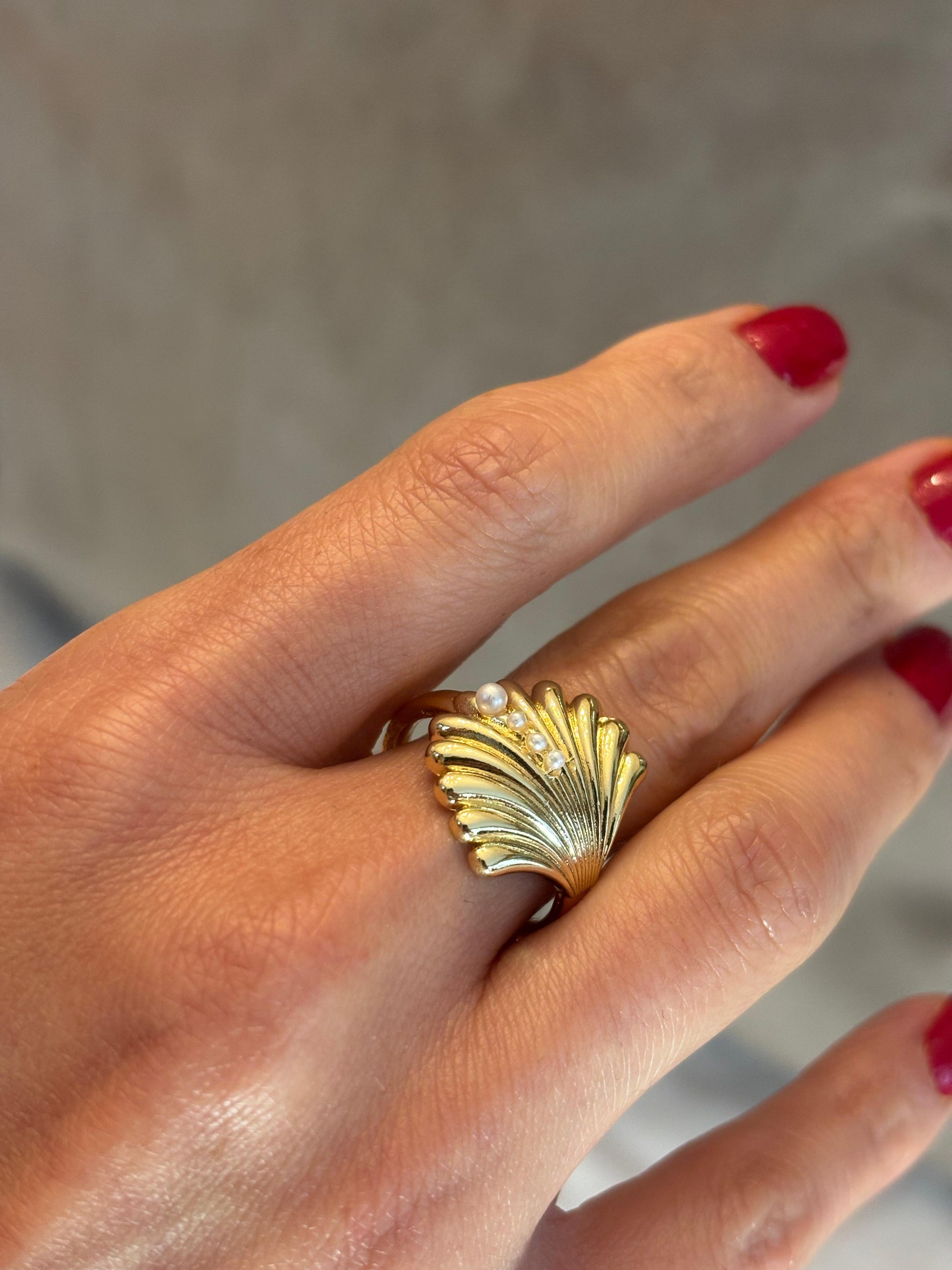 Anillo concha de mar