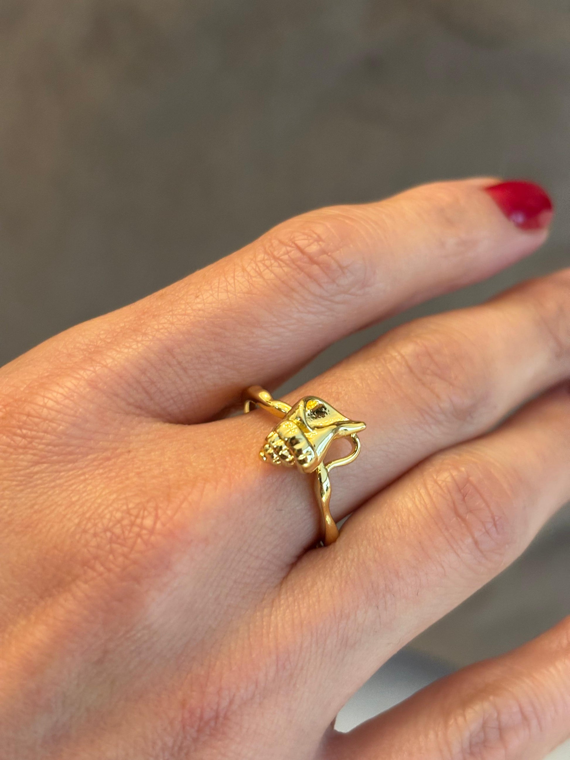 Anillo concha